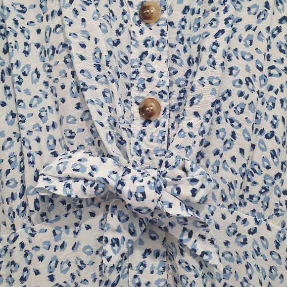 Henry Oscar blue animal print button down dress - Picture 3 of 6
